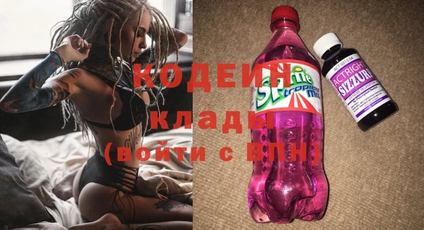 2c-b Алзамай