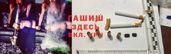 дмт Алексин