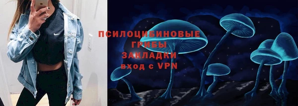 тгк Алексеевка