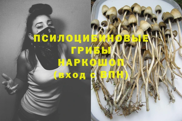 2c-b Алзамай