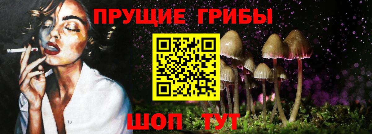 Псилоцибиновые грибы Psilocybe Ржев